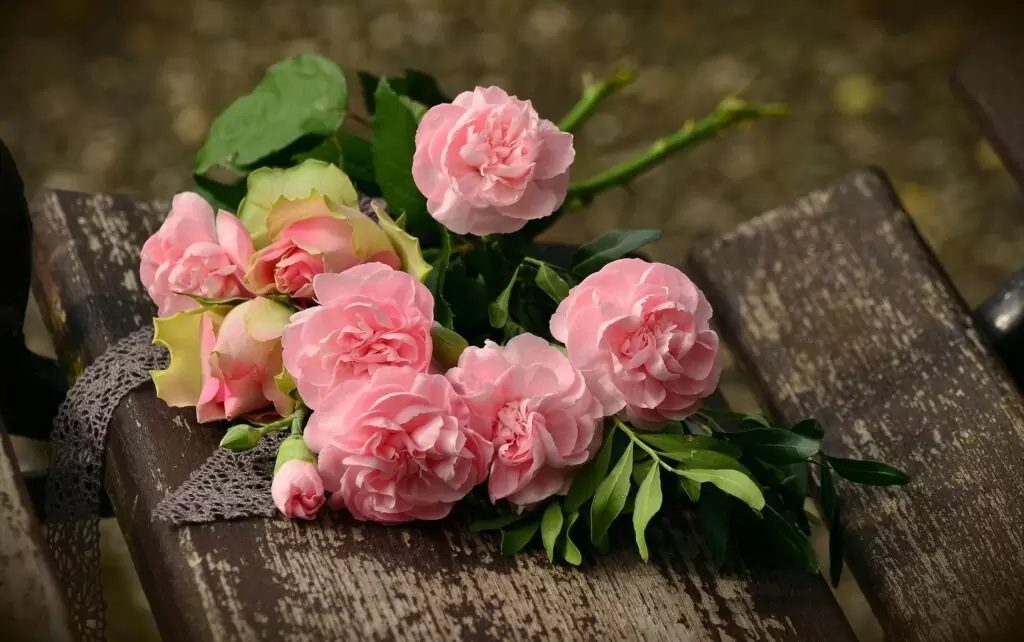 Uitvaart roze rozen op kist